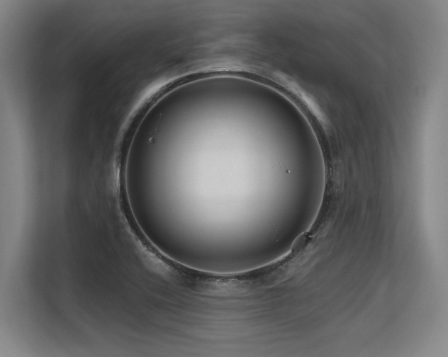X0000113581416200909181258