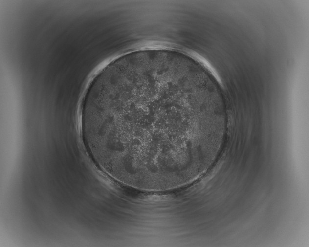 X0000113581419200909181258