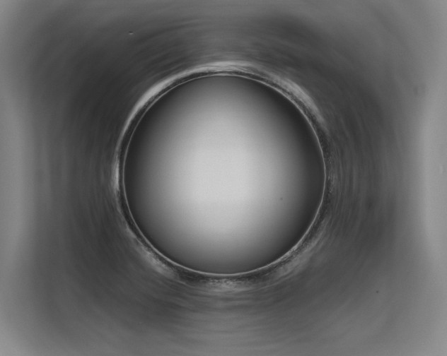 X0000113581420200909181258