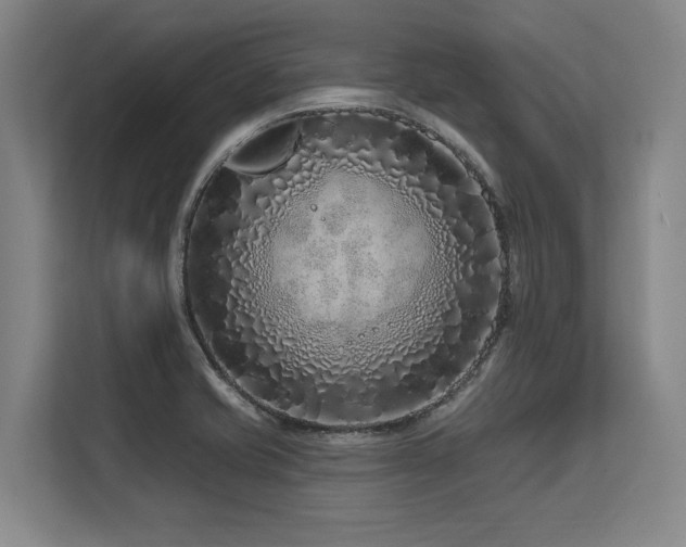 X0000113581421200909181258