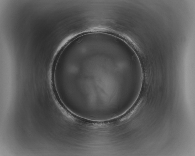 X0000113581422200909181258