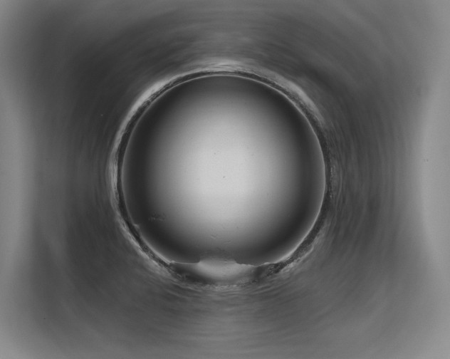 X0000113581424200909181258