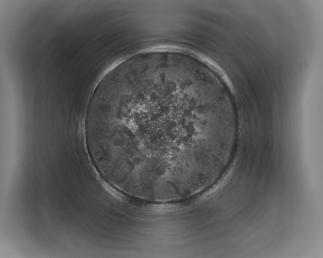 X0000113581425200909181258