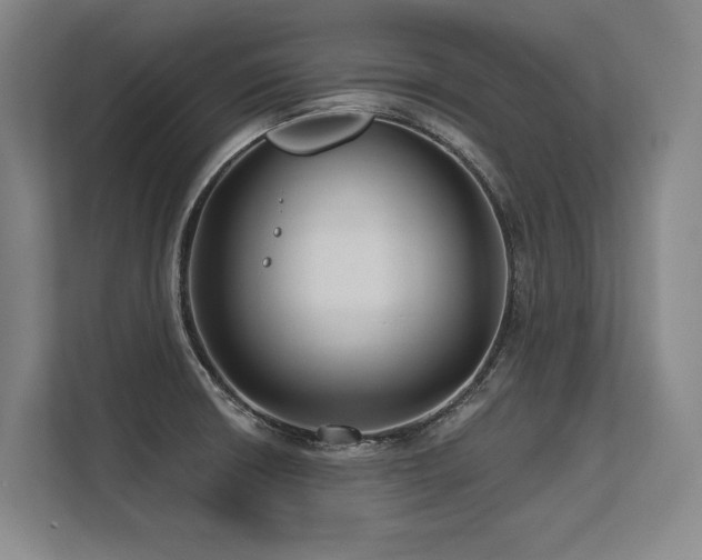 X0000113581426200909181258