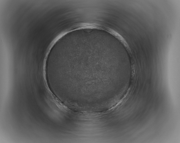 X0000113581427200909181258