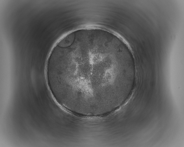 X0000113581429200909181258