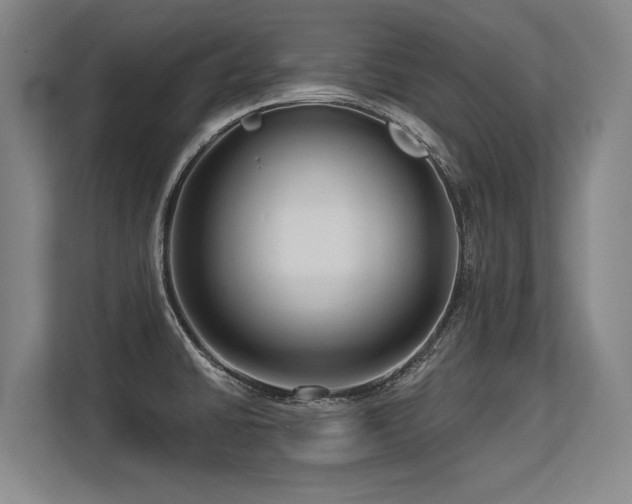 X0000113581430200909181258