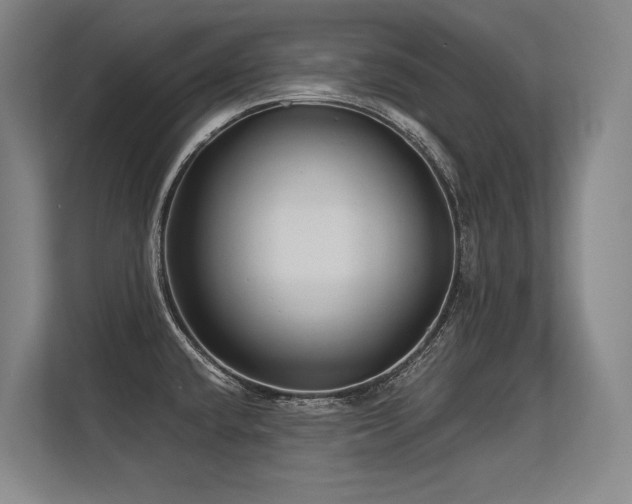 X0000113581432200909181258
