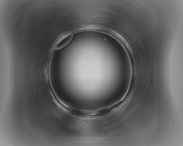 X0000113581433200909181258