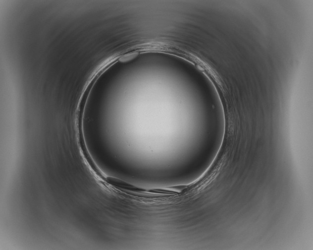 X0000113581434200909181258