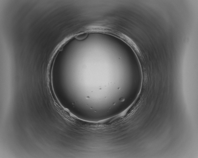 X0000113581435200909181258