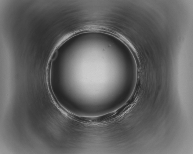 X0000113581437200909181258