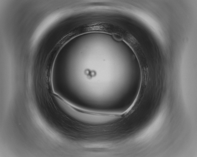 X0000113581438200909181258