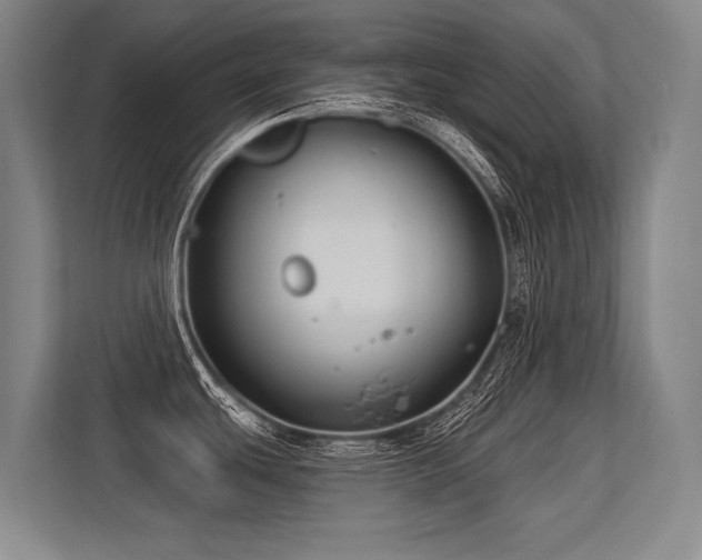 X0000113581439200909181258