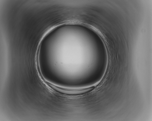 X0000113581440200909181258
