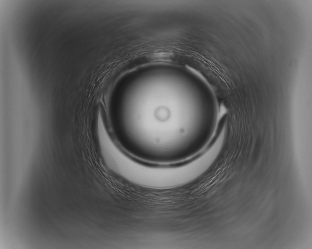 X0000113581441200909181258