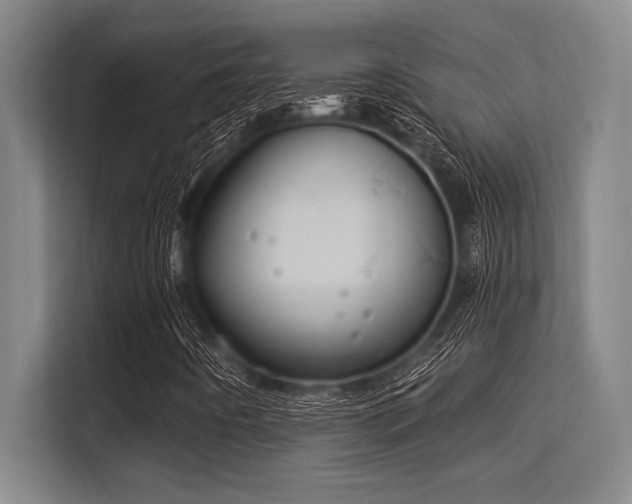 X0000113581442200909181258