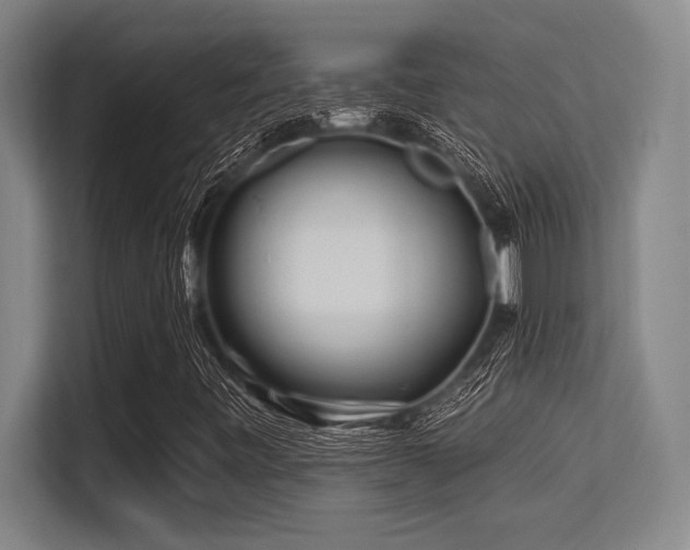 X0000113581443200909181258