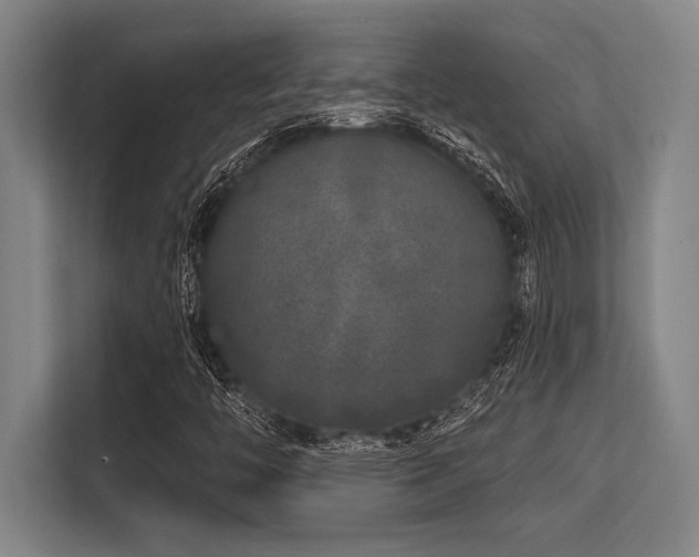 X0000113581446200909181258