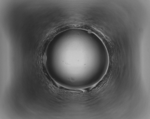 X0000113581447200909181258