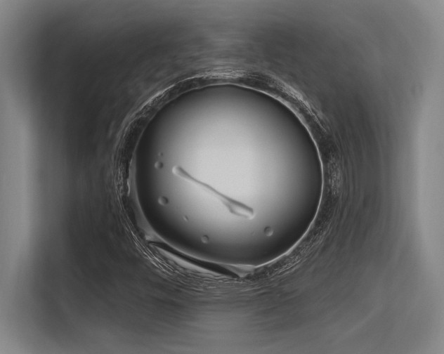 X0000113581448200909181258
