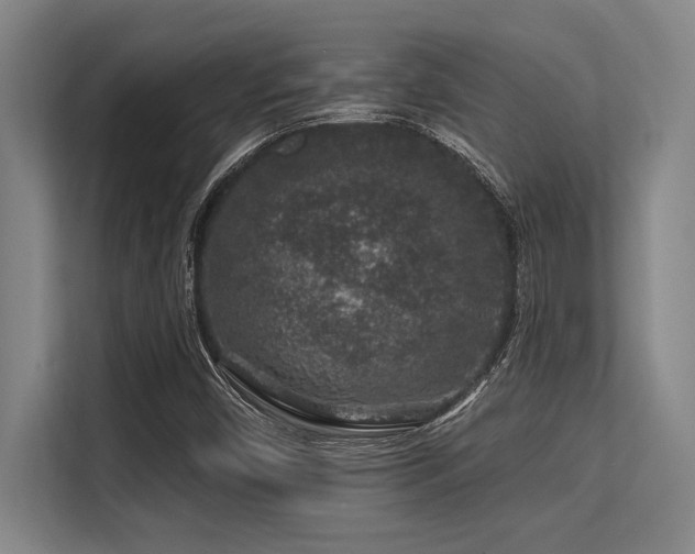 X0000113581450200909181258