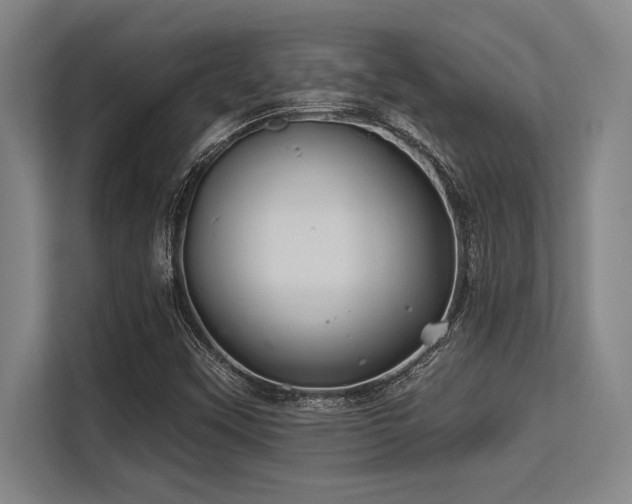 X0000113581451200909181257