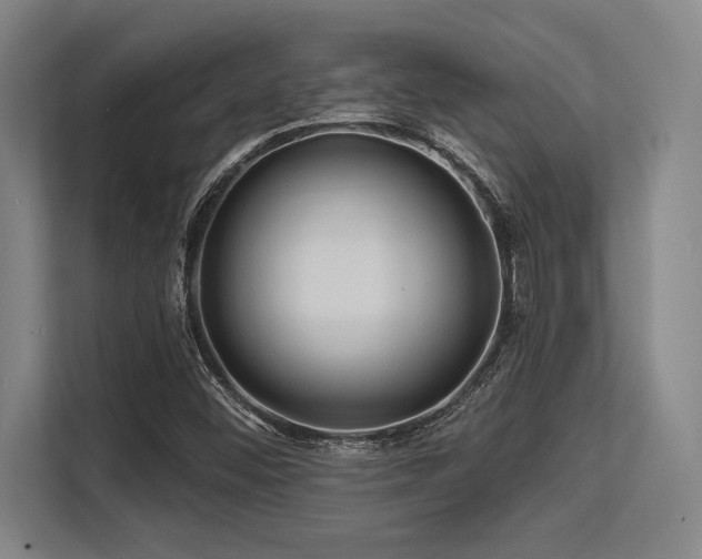 X0000113581452200909181257