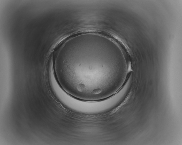 X0000113581453200909181257