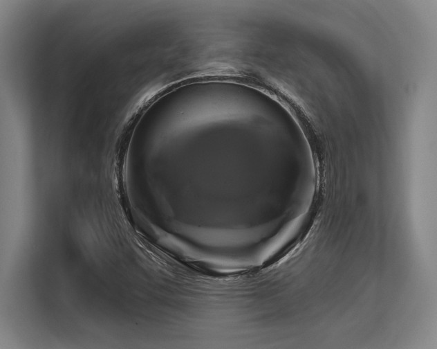 X0000113581455200909181257