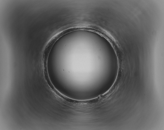 X0000113581456200909181257