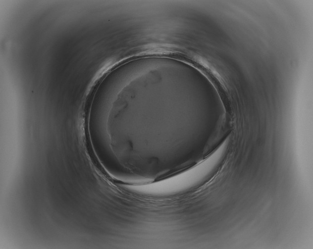 X0000113581459200909181257