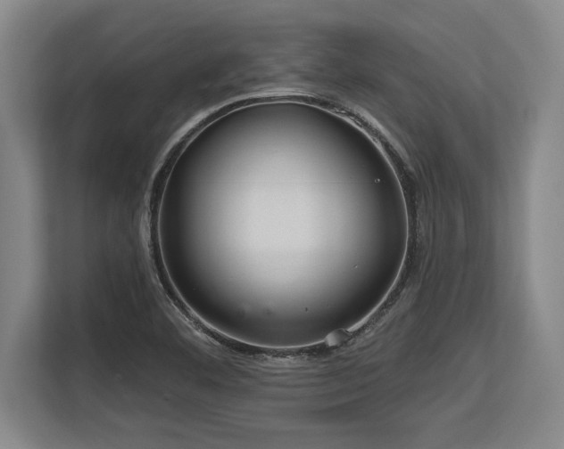 X0000113581460200909181257