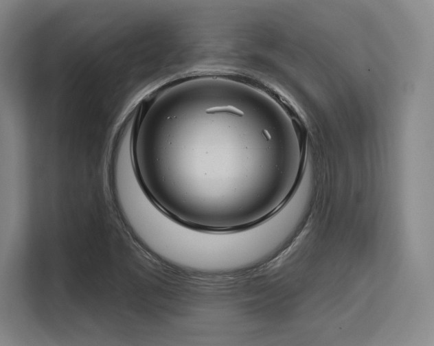 X0000113581461200909181257