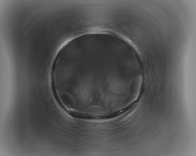 X0000113581463200909181257