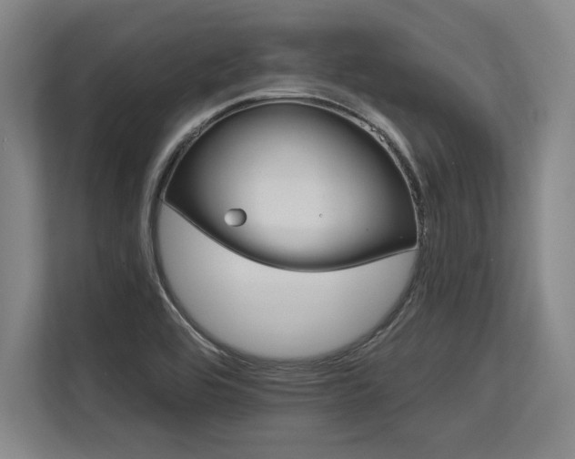 X0000113581464200909181257