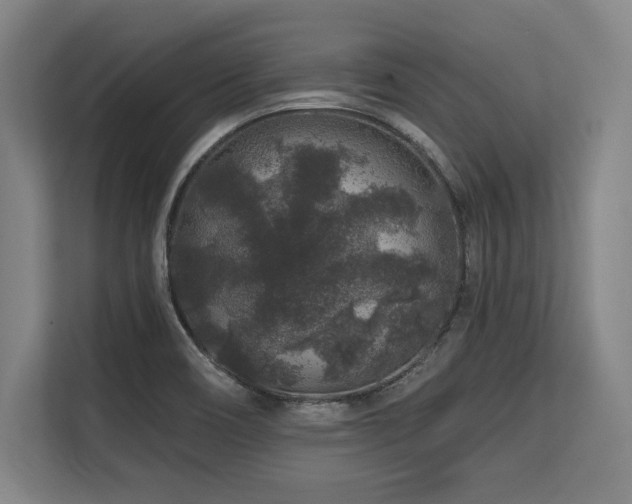 X0000113581466200909181257