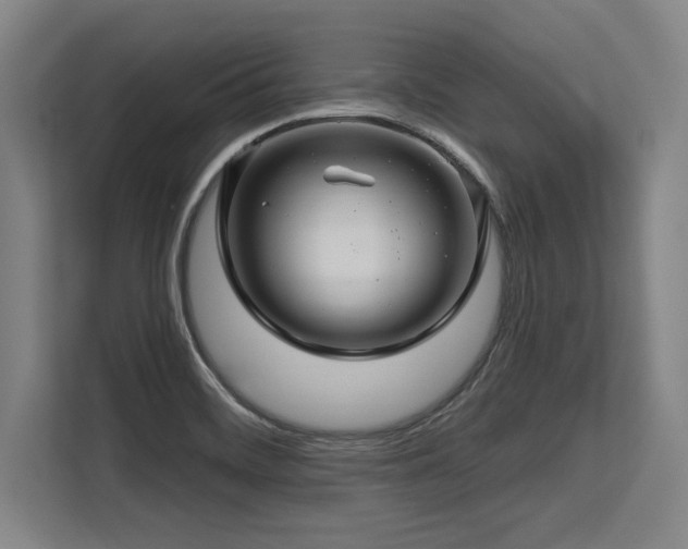 X0000113581468200909181257