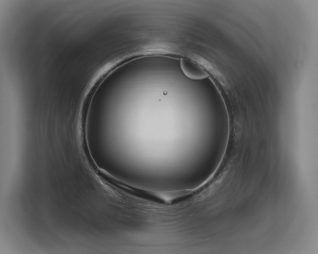 X0000113581469200909181257