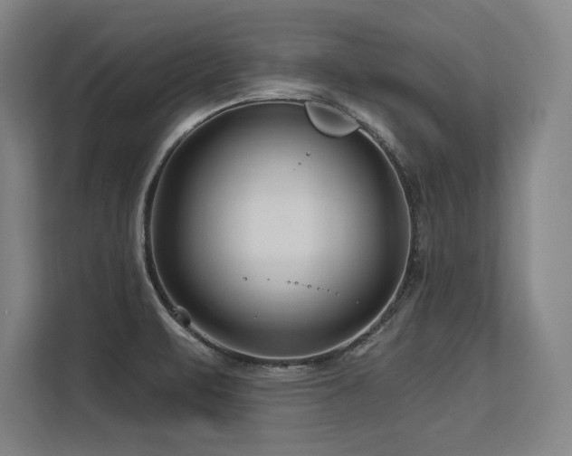 X0000113581471200909181257