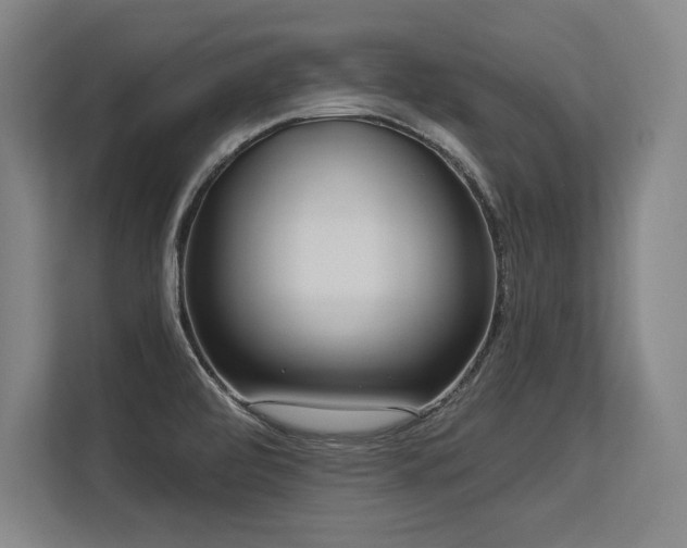 X0000113581472200909181257