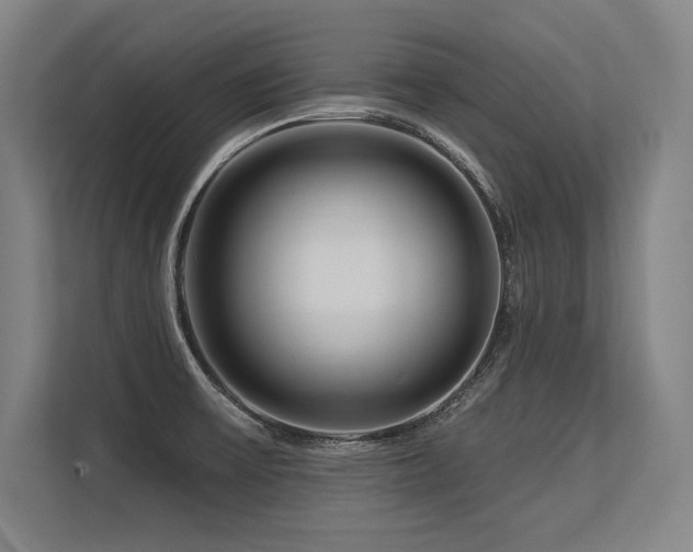 X0000113581475200909181257