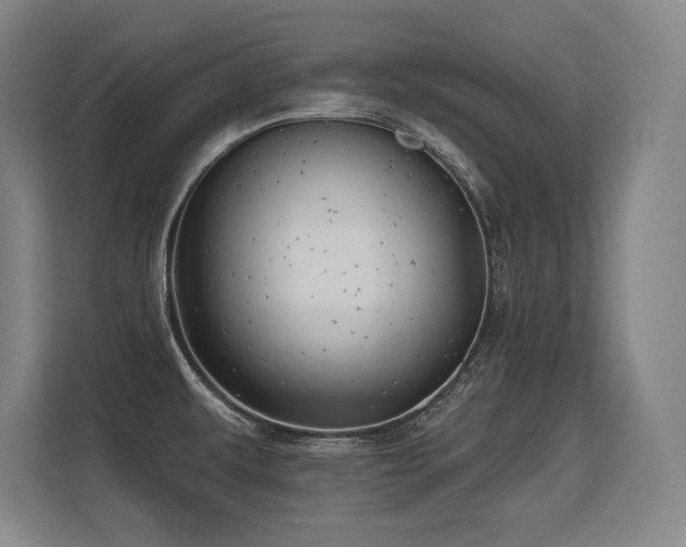 X0000113581479200909181257