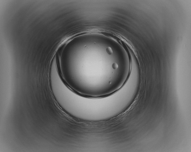 X0000113581481200909181257
