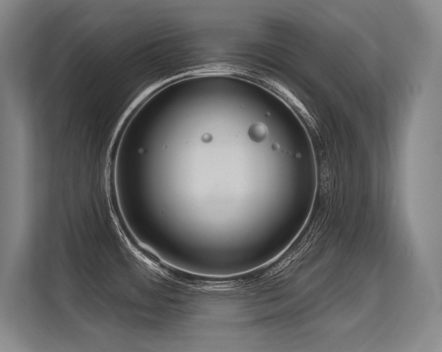 X0000113581484200909181257
