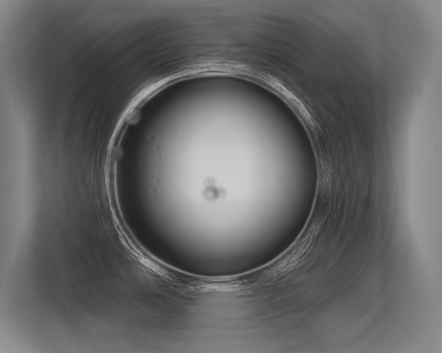 X0000113581486200909181257