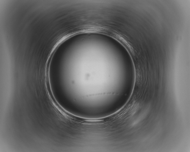 X0000113581487200909181257