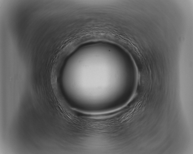 X0000113581489200909181256