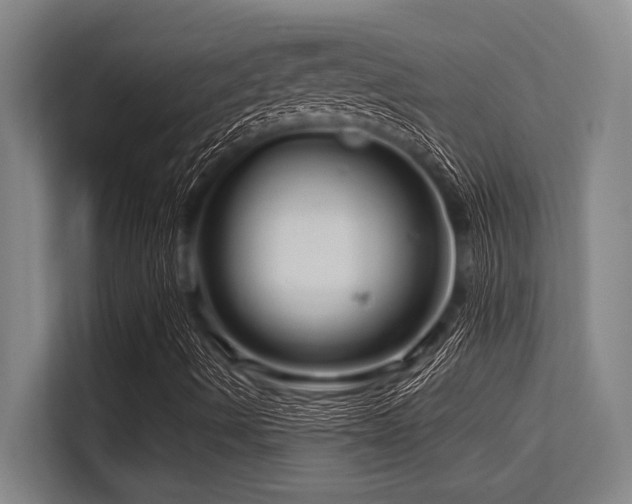 X0000113581490200909181256