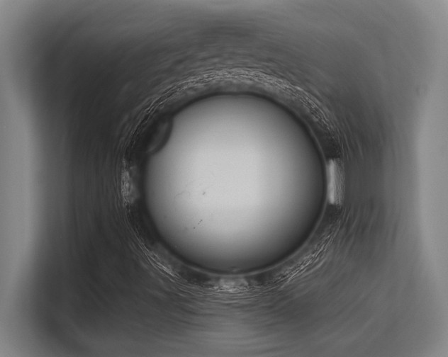 X0000113581491200909181256
